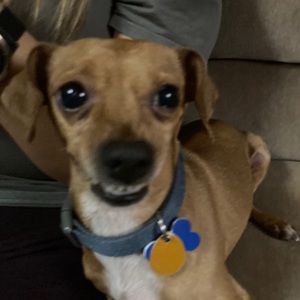 Meet your Posher, Alfredo